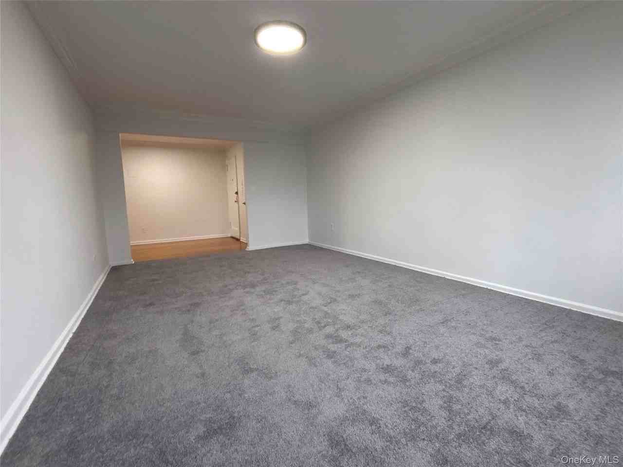 50 S Middle Neck Rd Apt 1p - Photo 7 of 22