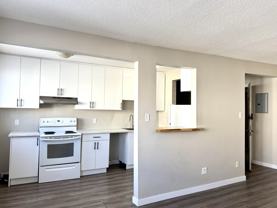 10724 105 St Nw #305 - Photo 1 of 1