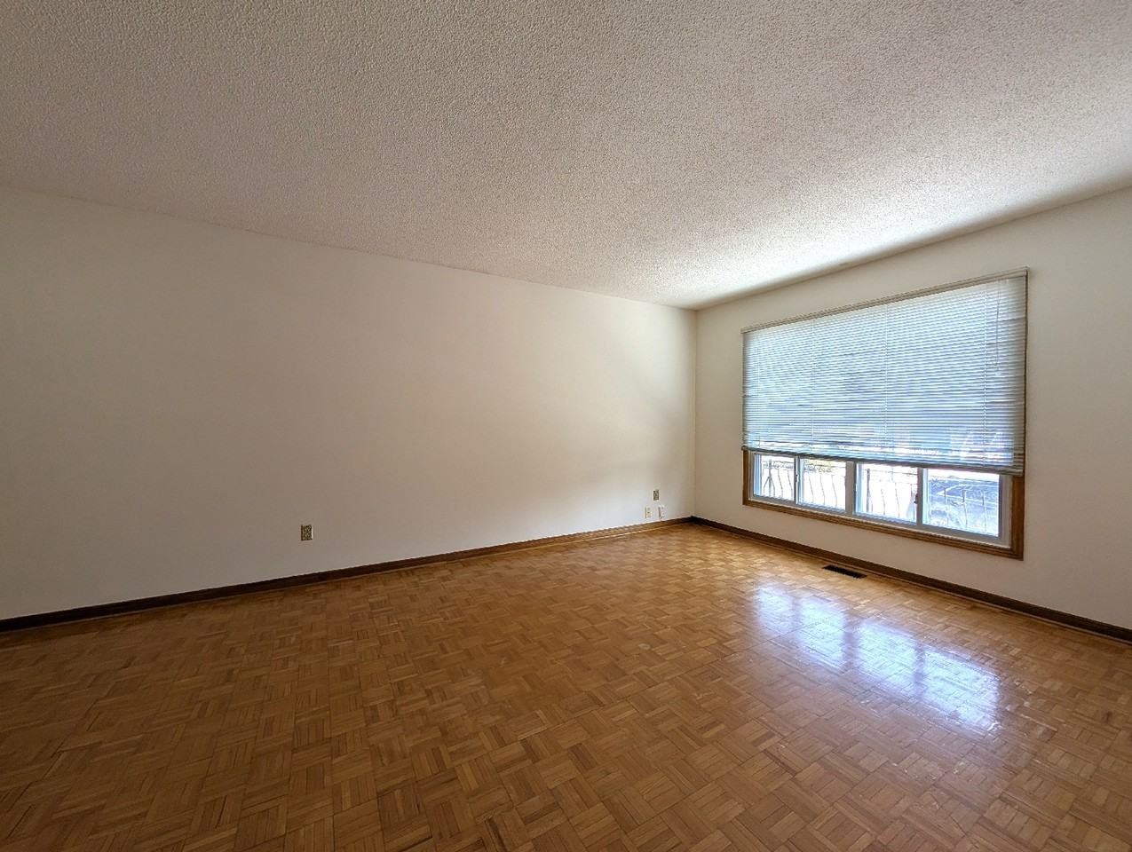 64 Primrose Avenue - Photo 5 of 17