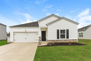 featured image of 258 258 Cypress Tree Loop