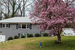 featured image of 831 Parkway Dr Se