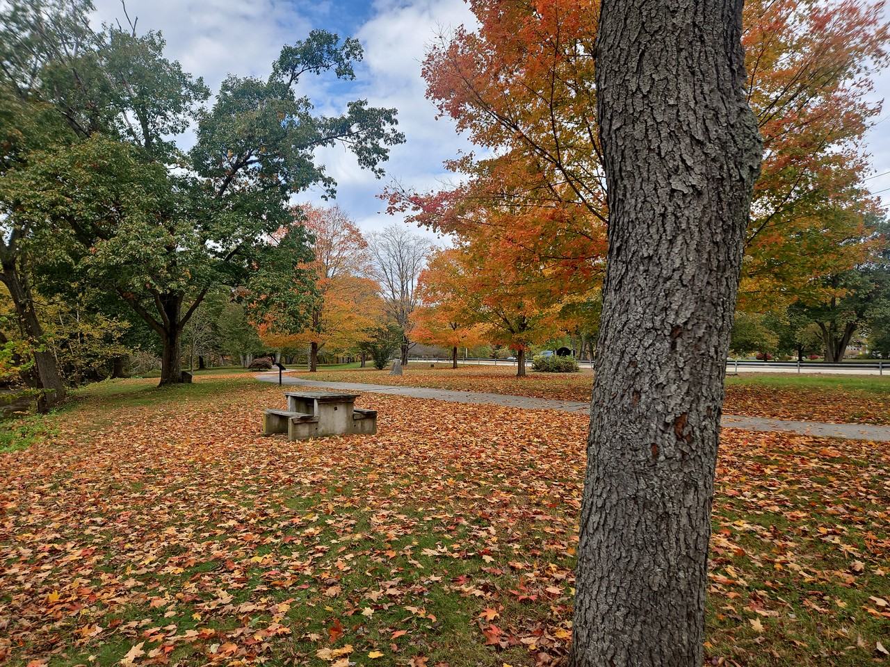 4 Perrin Rd - Photo 6 of 20