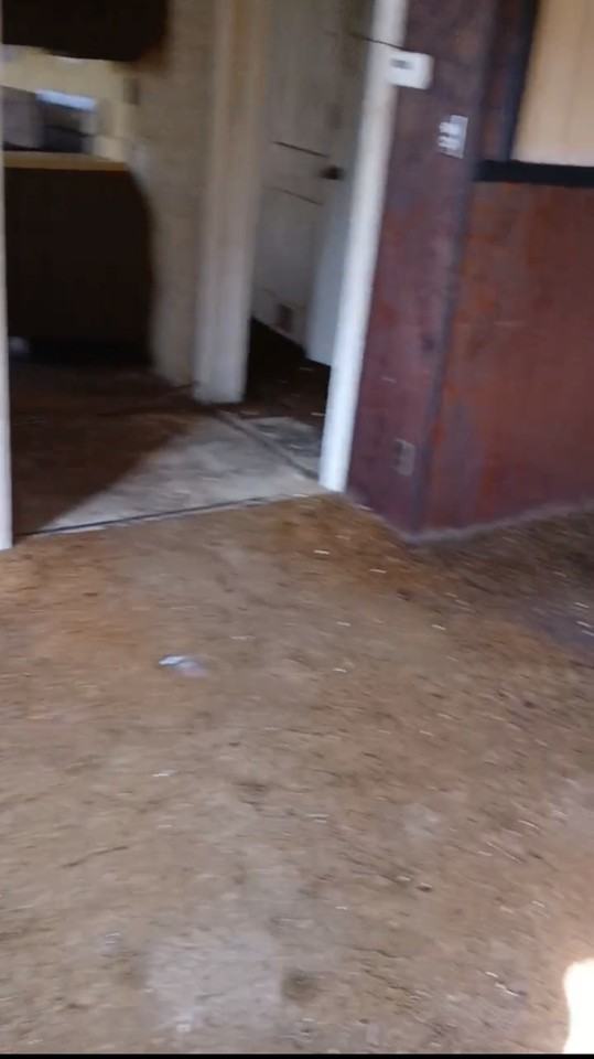 10113 Count Dr - Photo 3 of 5