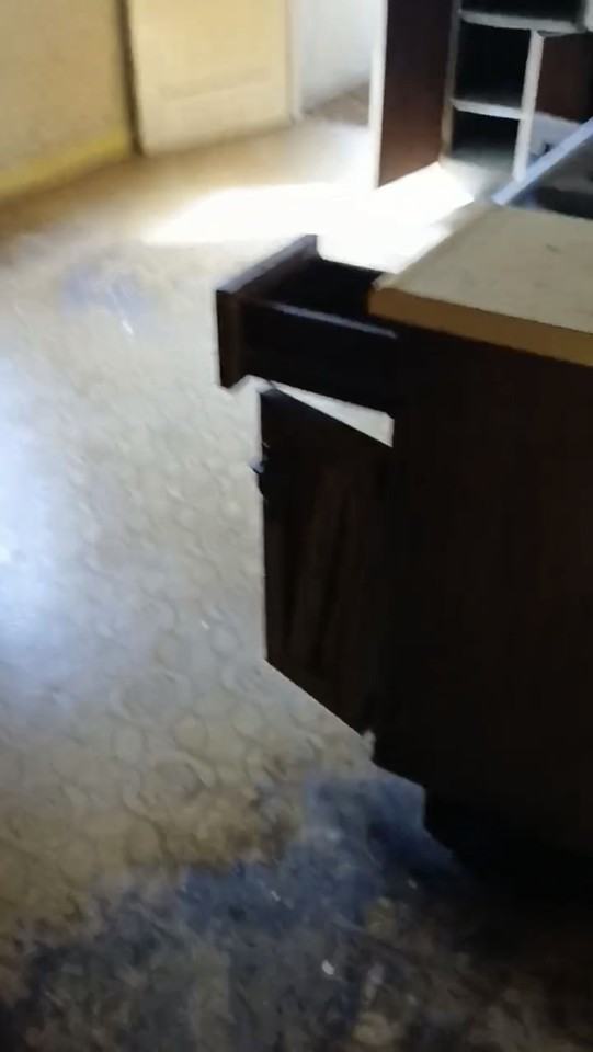 10113 Count Dr - Photo 4 of 5