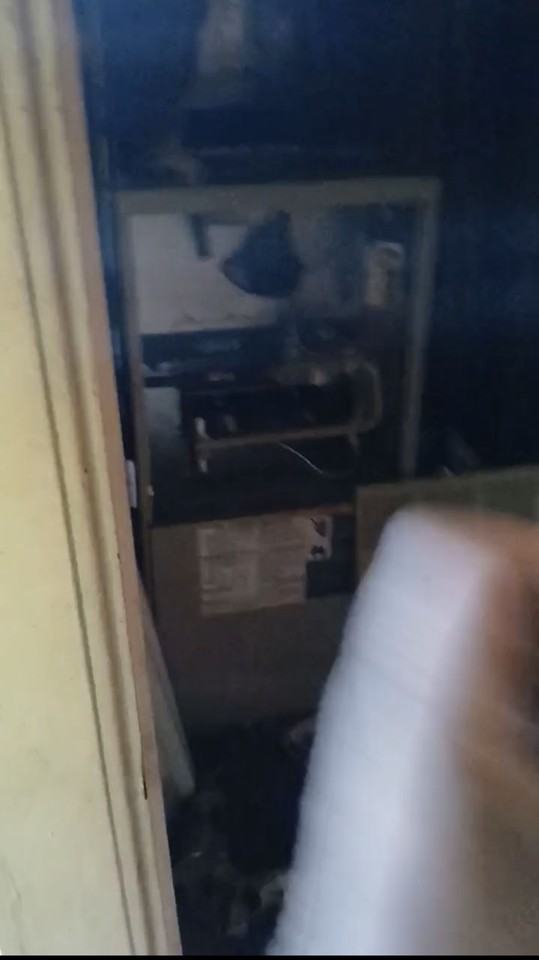 10113 Count Dr - Photo 5 of 5