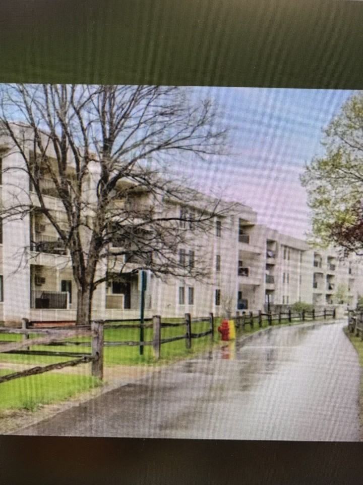 4130 Rahn Rd #214 - Photo 6 of 11