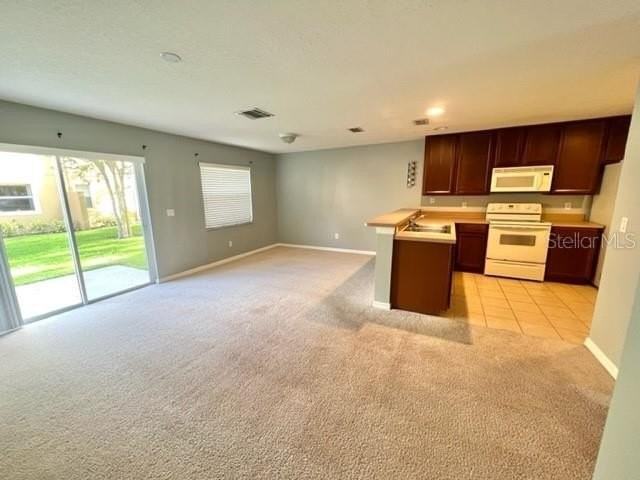 3896 Silverbell Loop - Photo 6 of 38