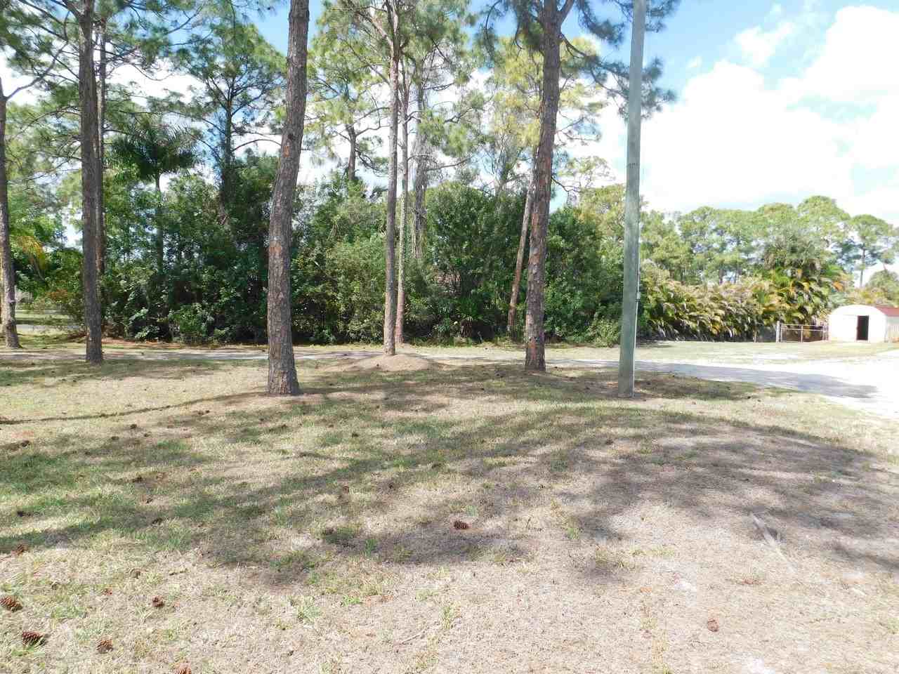 11065 67th Pl N - Photo 3 of 12