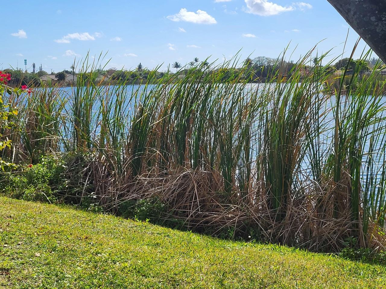 1801 Waterview Cir - Photo 4 of 14