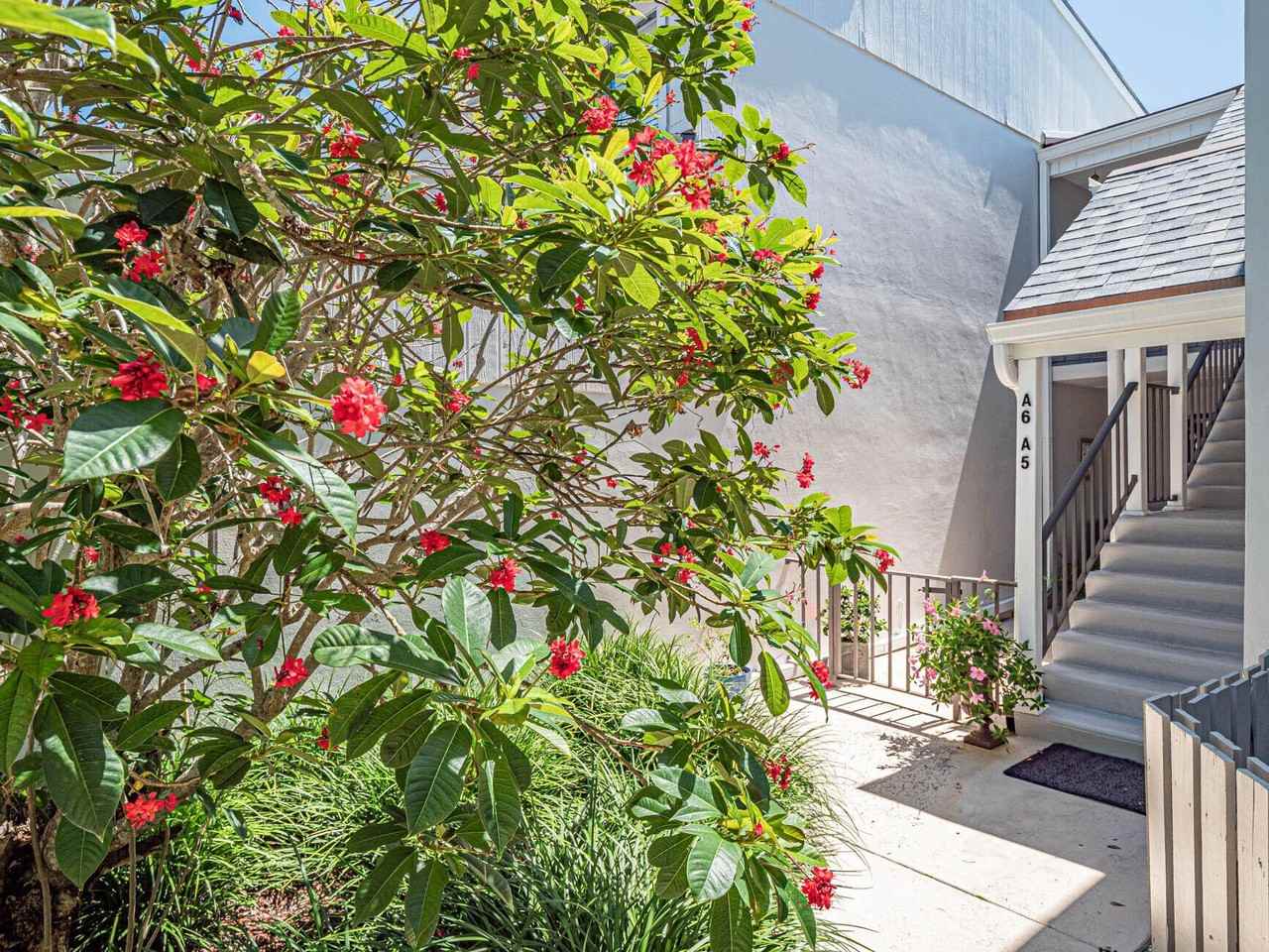 1155 Reef Rd Apt A6 - Photo 5 of 47