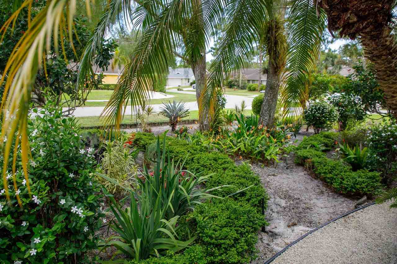 900 Cosmos Ct - Photo 5 of 47