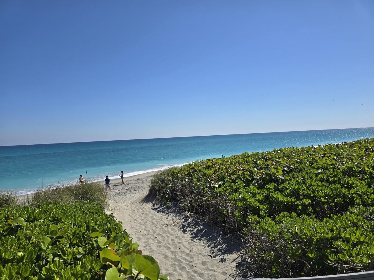 420 Celestial Way Apt 204 - Photo 2 of 35