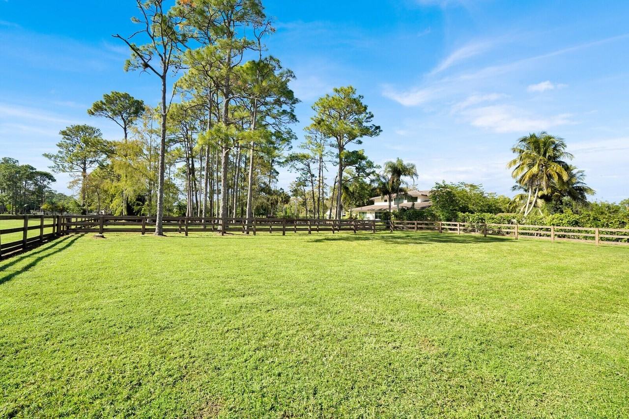 11231 Ira Ln - Photo 7 of 29