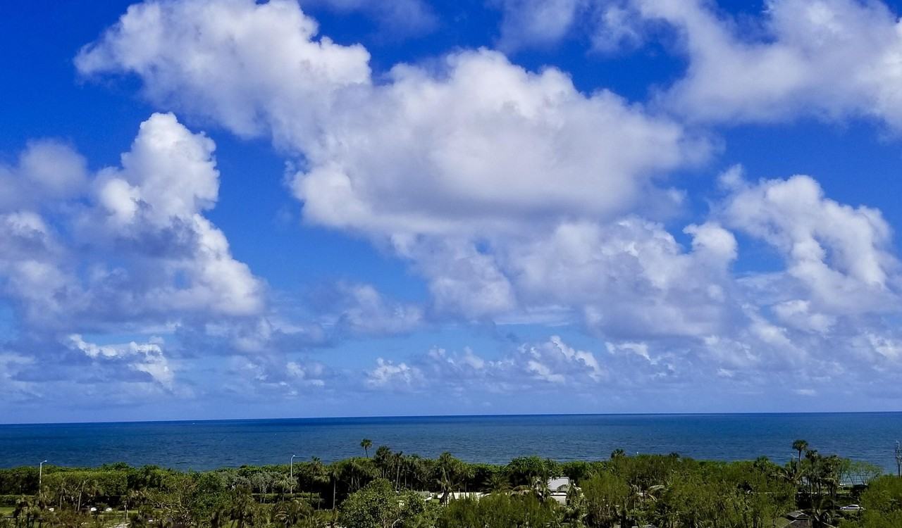 4101 N Ocean Blvd #703 - Photo 6 of 33