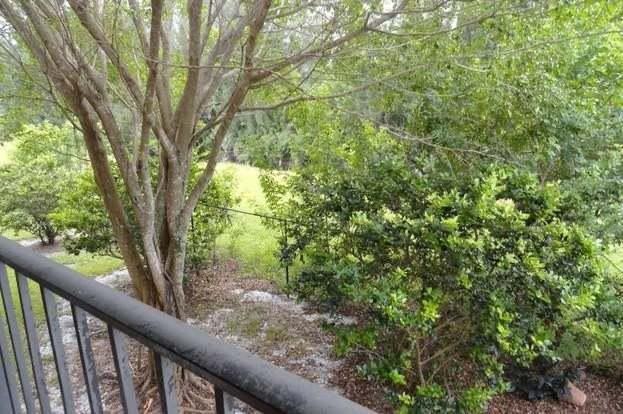 1561 Windorah Way Apt F - Photo 5 of 50