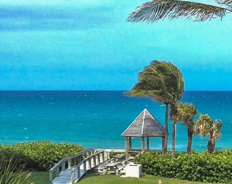 420 Celestial Way Apt 303 - Photo 2 of 39