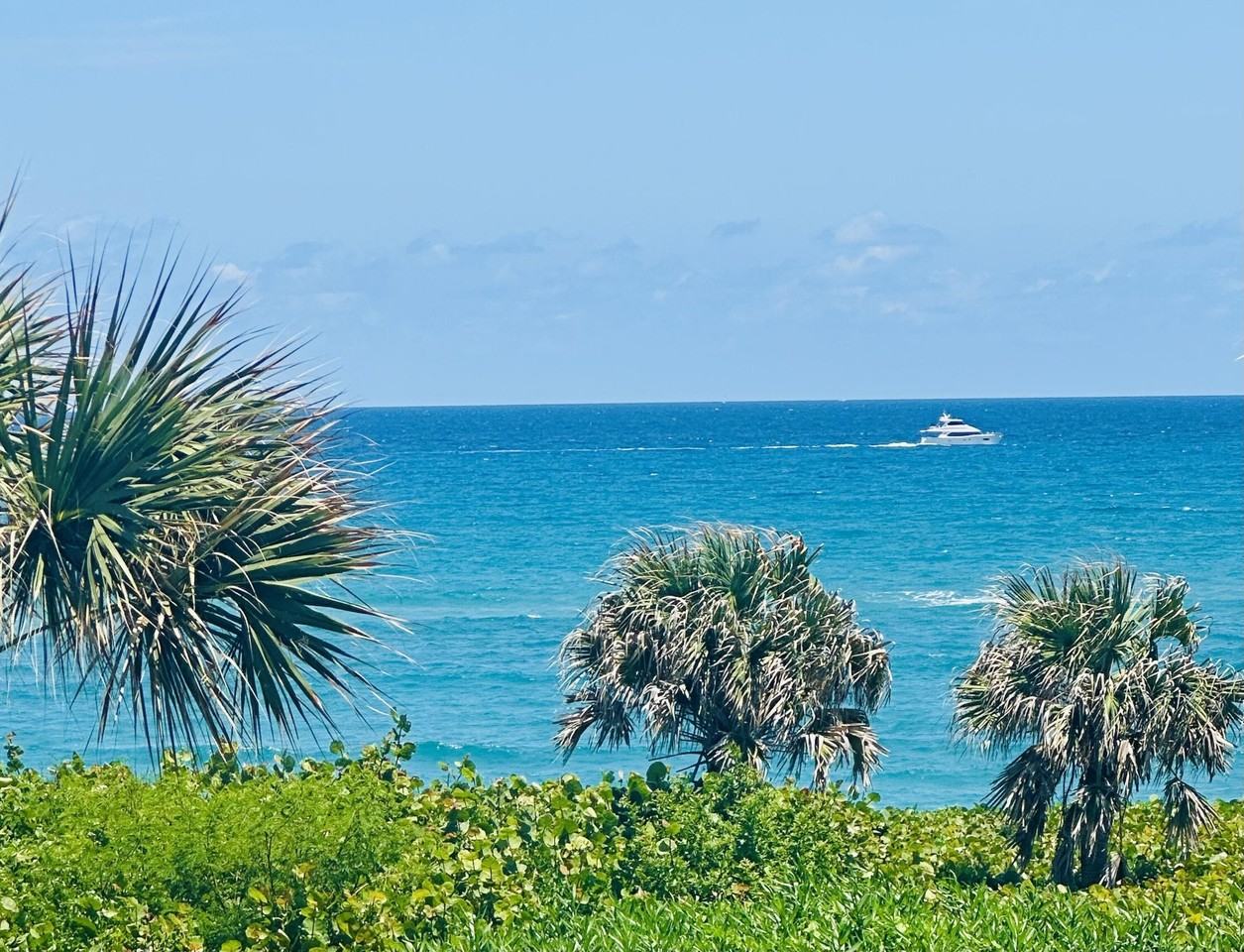 420 Celestial Way Apt 303 - Photo 3 of 39