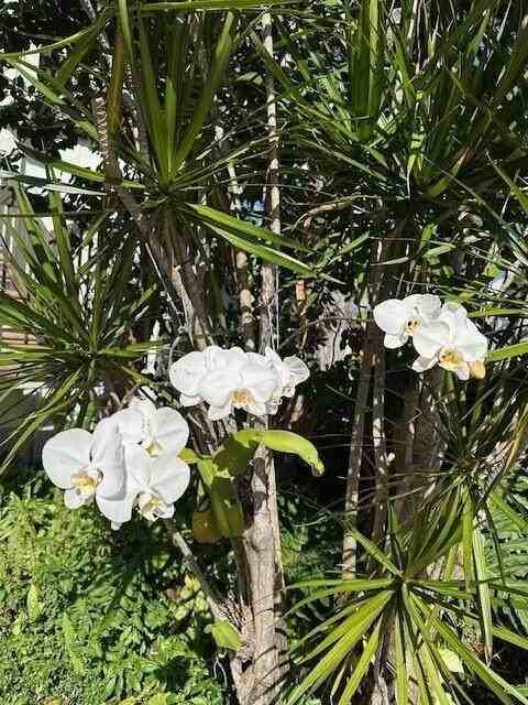 1405 Bridgewood Dr Unit 1405 - Photo 4 of 50