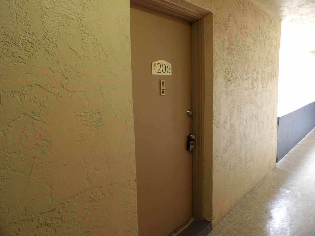 201 Bonnie Blvd Apt 206 - Photo 5 of 17