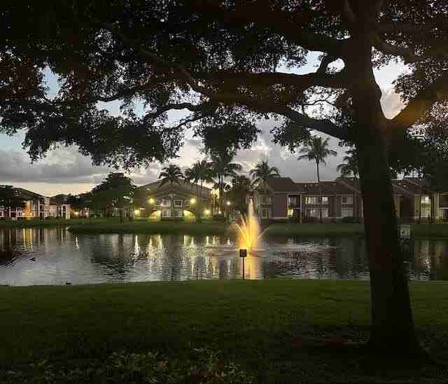 7824 Sonoma Springs Cir Apt 110 - Photo 7 of 50