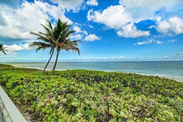 3221 S Ocean Blvd Apt 207 - Photo 6 of 50