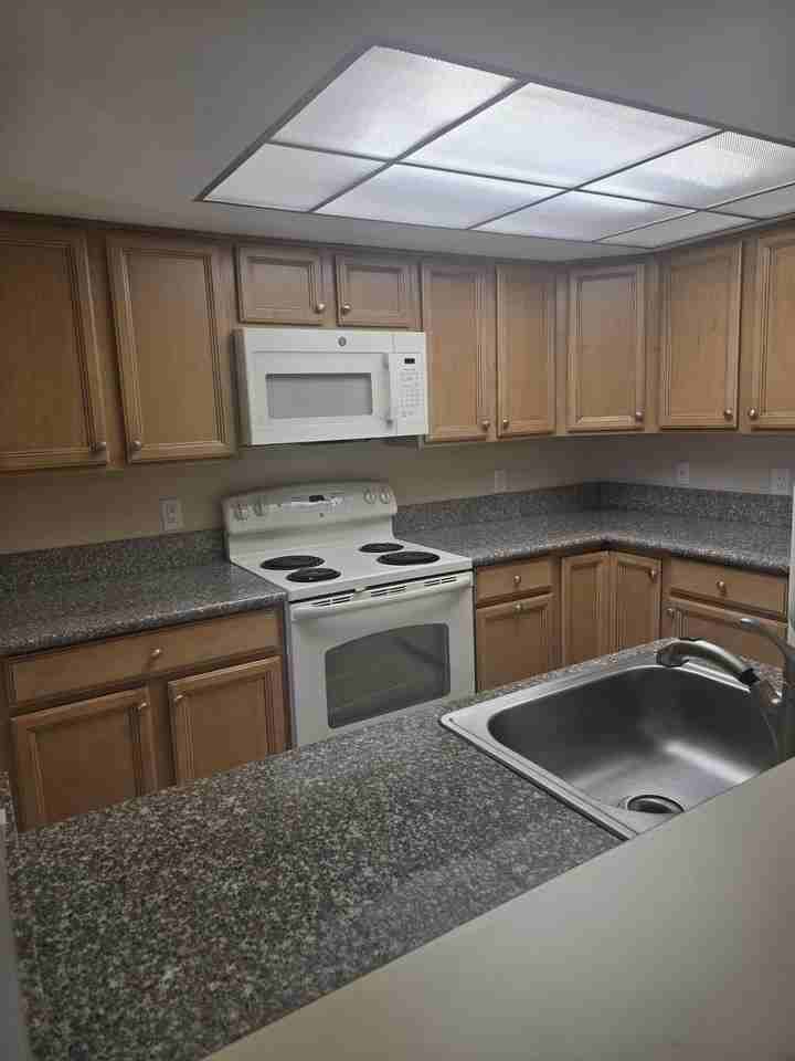 3186 Via Poinciana Apt 310 - Photo 3 of 16