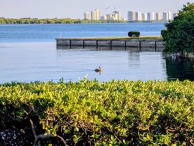 1640 Twelve Oaks Way Apt 101 - Photo 1 of 1
