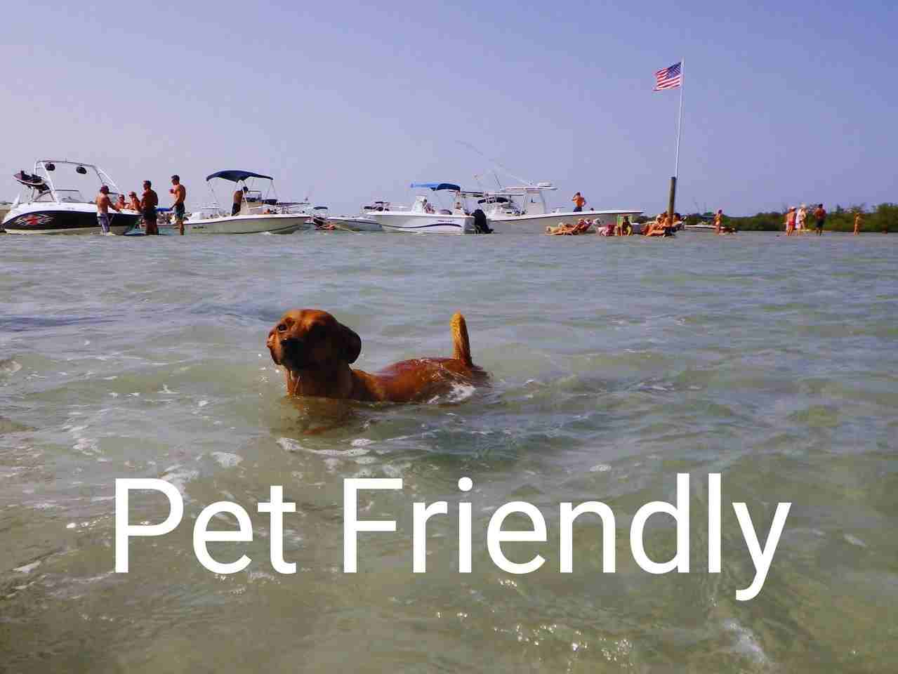 6375 Riverwalk Ln Unit 4 - Photo 3 of 37