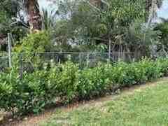 4404 Se Mulford Ln - Photo 3 of 23