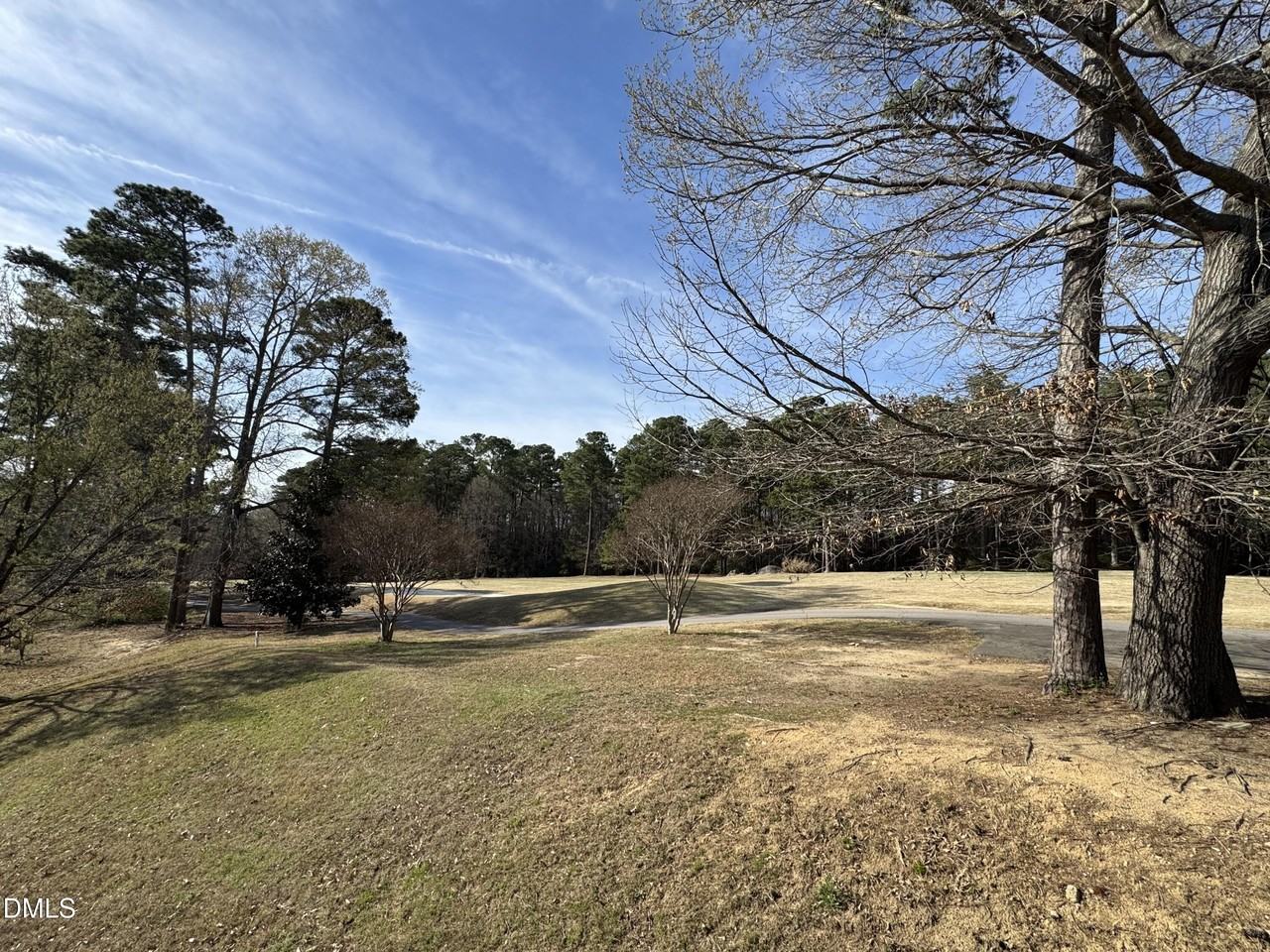 2212 Persimmon Ridge Dr - Photo 4 of 18