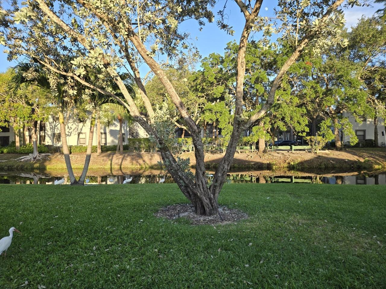 1320 Nw 82nd Ave - Photo 2 of 11