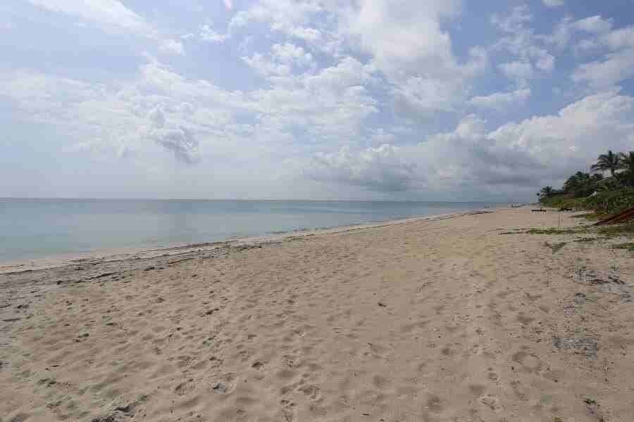 3594 S Ocean Blvd Apt 301 - Photo 3 of 26