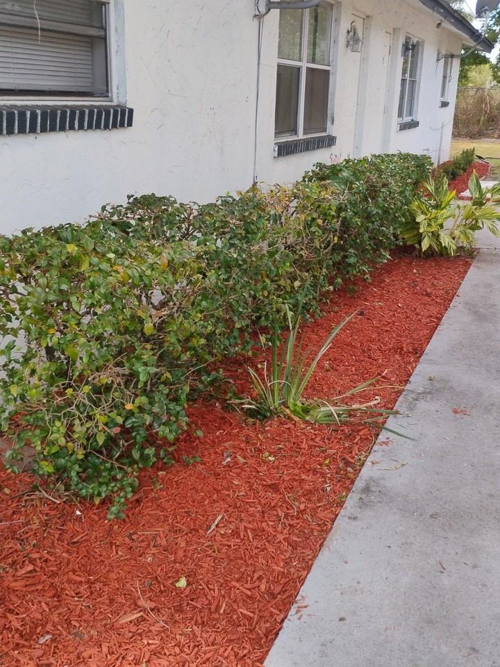 3425 Grace Ave - Photo 3 of 16