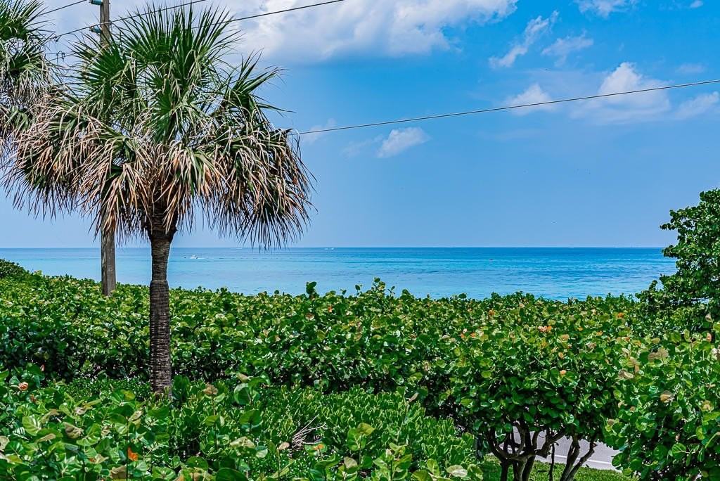 1055 Ocean Dr Apt 202 - Photo 5 of 50