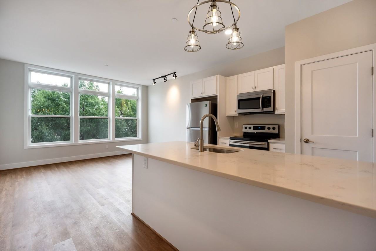 For Rent: Chic Urban Living at 1238 Light St – Your City Oasis Awaits! - Photo 3 of 8