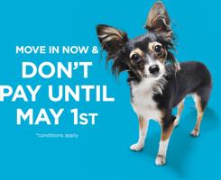 featured image of 226 Akhtar Bend