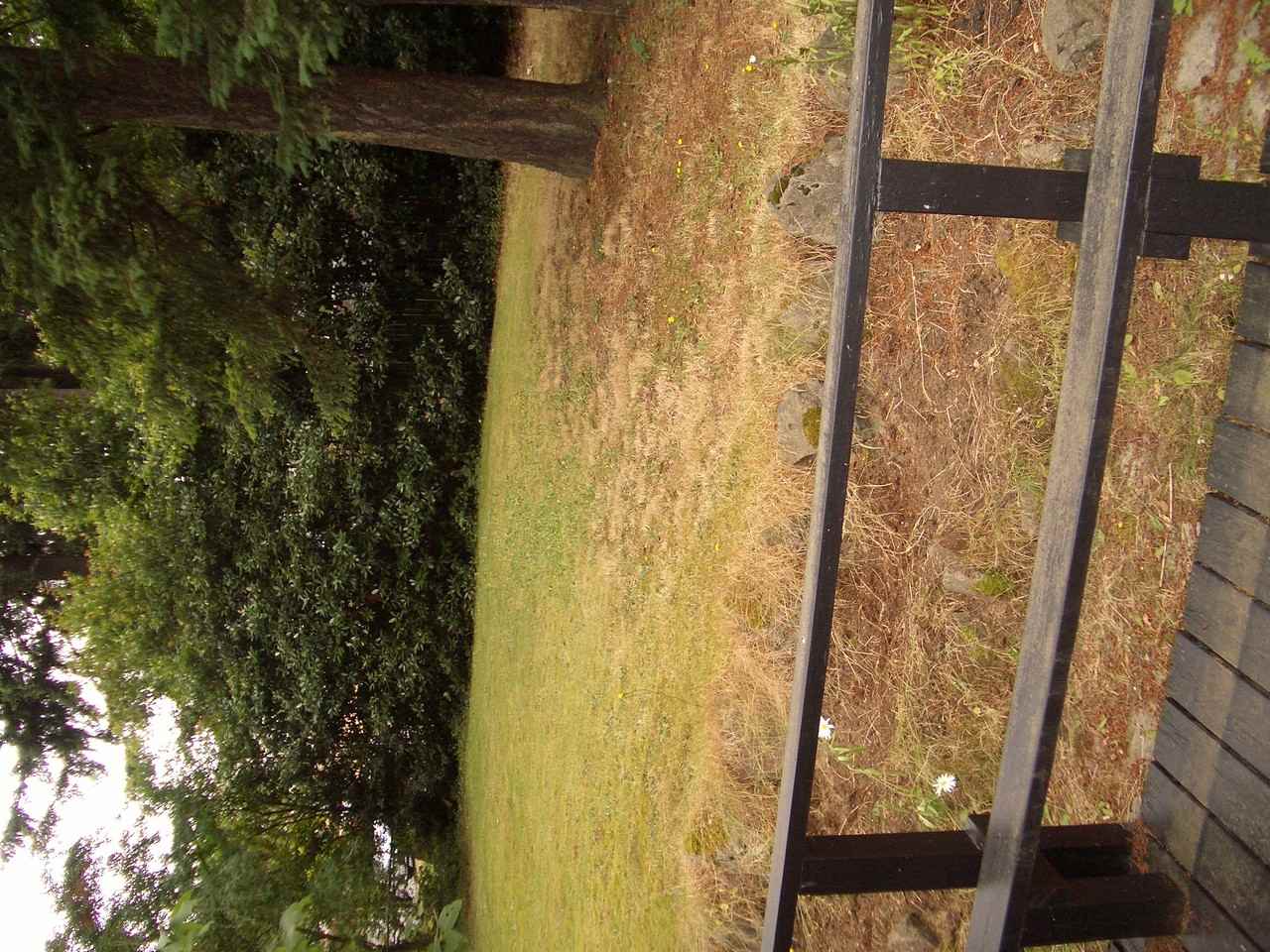 12617 10th Avenue Northeast - Photo 4 of 13