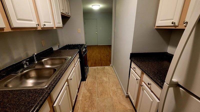 3810 Chamberlayne Ave #B - Photo 5 of 16