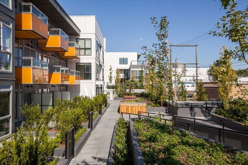 1588 East Hastings Street #226 - Photo 7 of 12