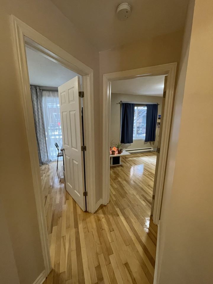 1929 Rue Wolfe - Photo 5 of 12