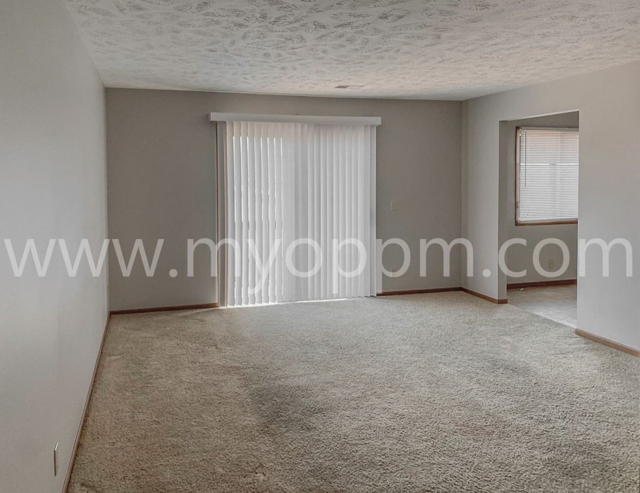 ALANSCO 73rd Place - Photo 2 of 17