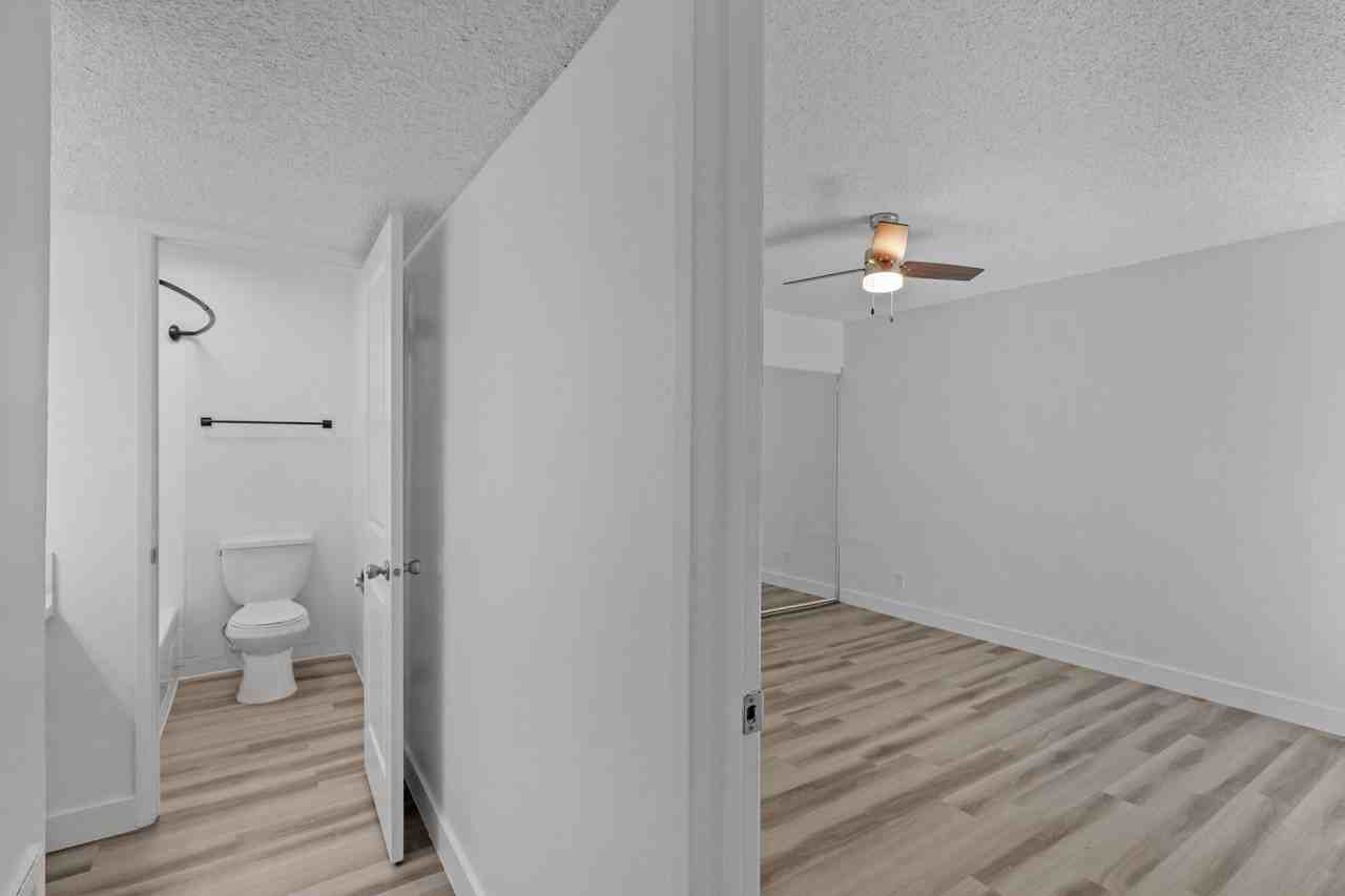 Courtyard - Photo 6 of 29