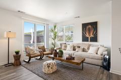 Vinifera - Photo 1 of 1