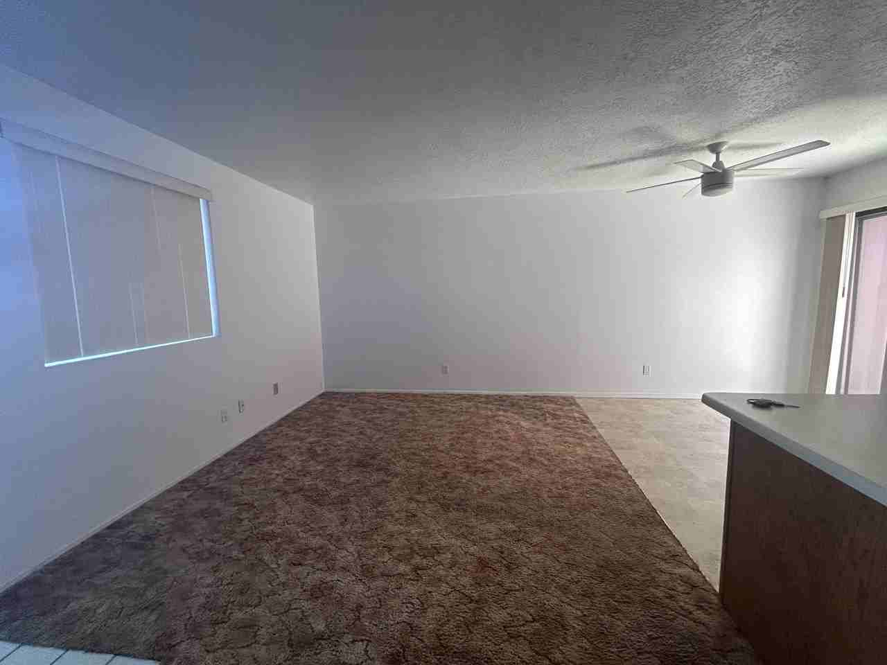 3604 Tyson Pl Ne #C - Photo 5 of 15