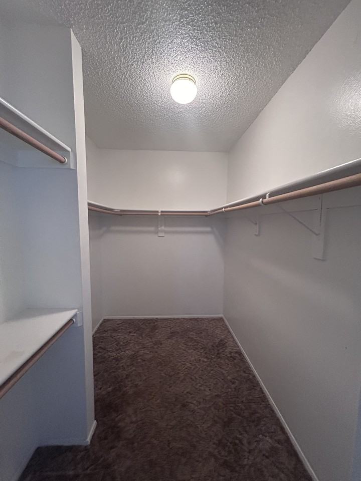 3604 Tyson Pl Ne #C - Photo 7 of 15