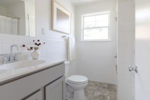 featured image of Whistling Ridge