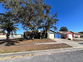 1338 Calamondin Dr - Photo 1 of 1