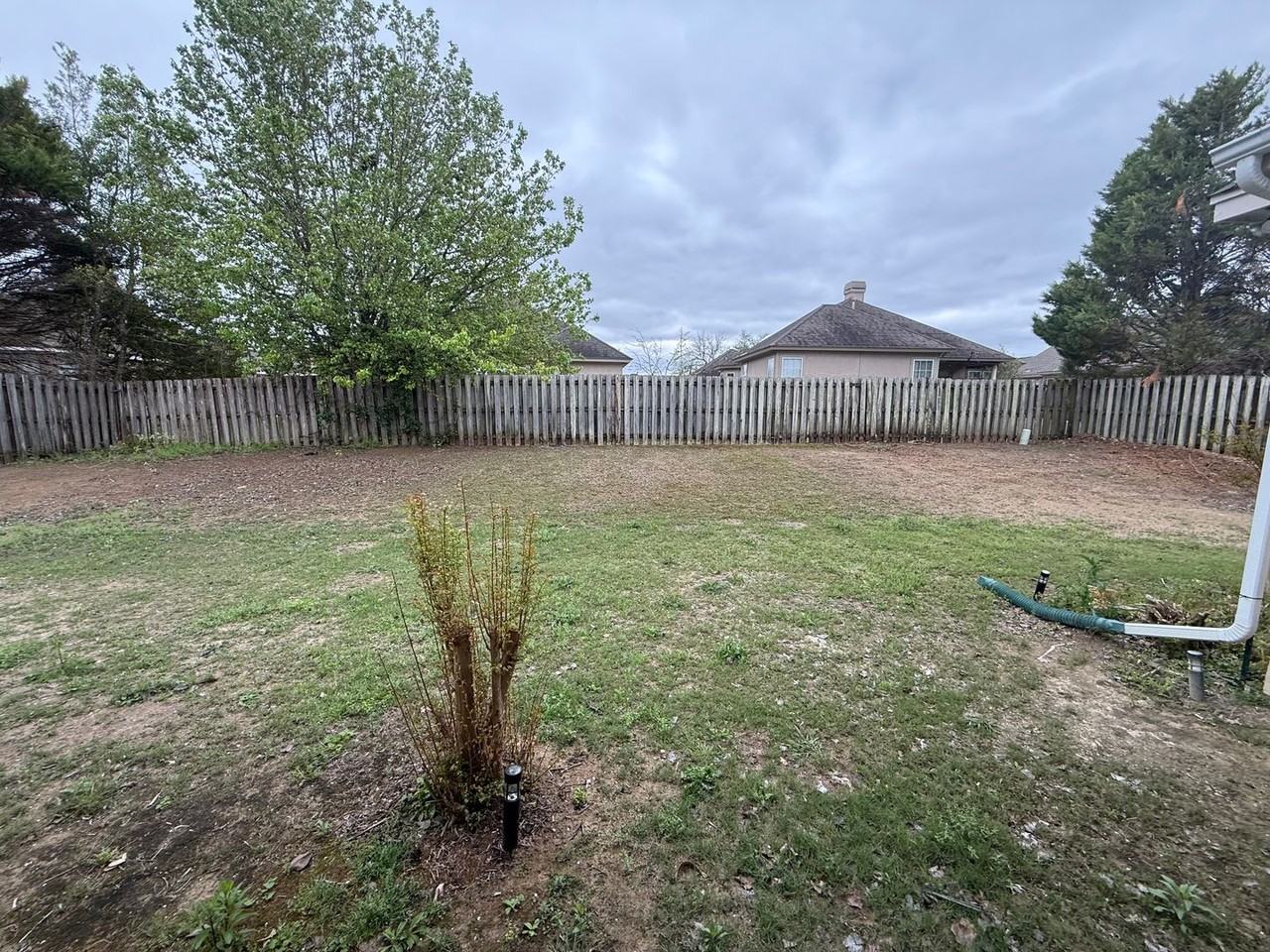 8530 Pipit Ct - Photo 7 of 21
