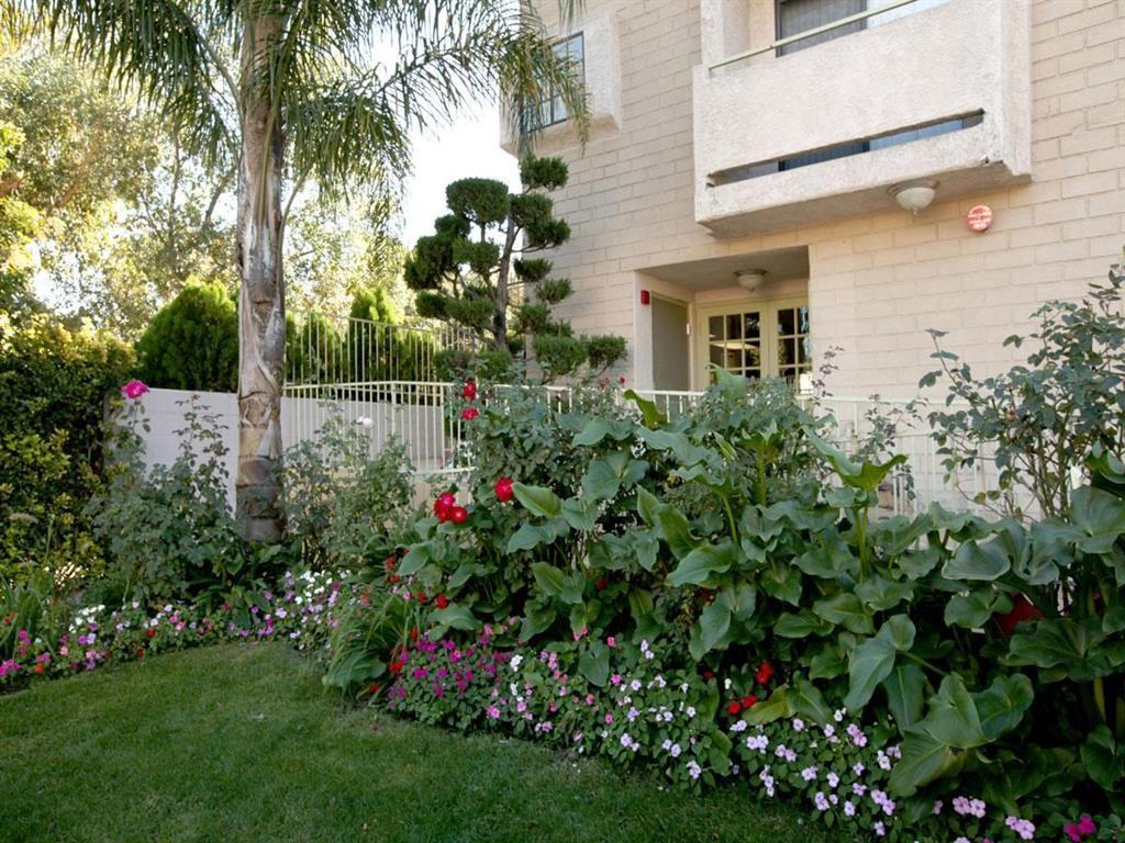 Chateau Emelita Apartments - Photo 3 of 12