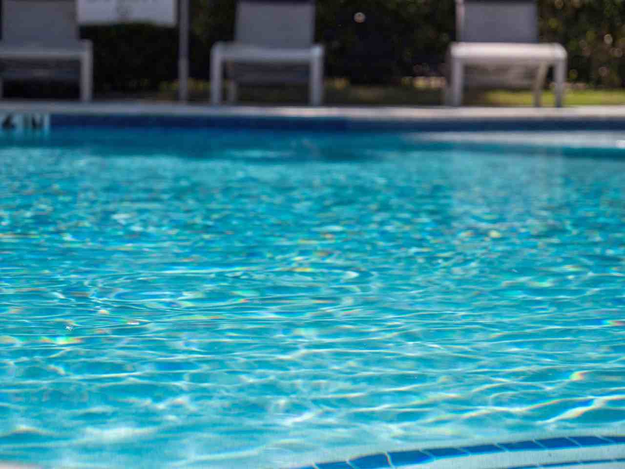 Berkshire Jones Forest - Photo 4 of 25